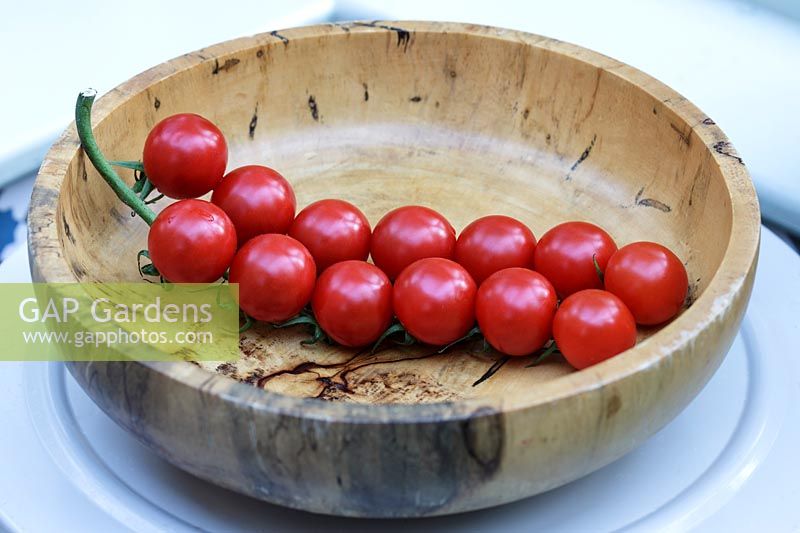 Solanum lycopersicum var. cerasiforme - tomates cerises de vigne - Piccolo - bol en bois sculpté à la main