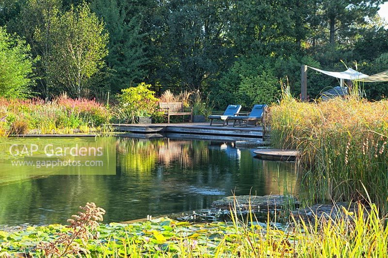 Vue de la piscine naturelle à Ellicar Gardens, Nottinghamshire