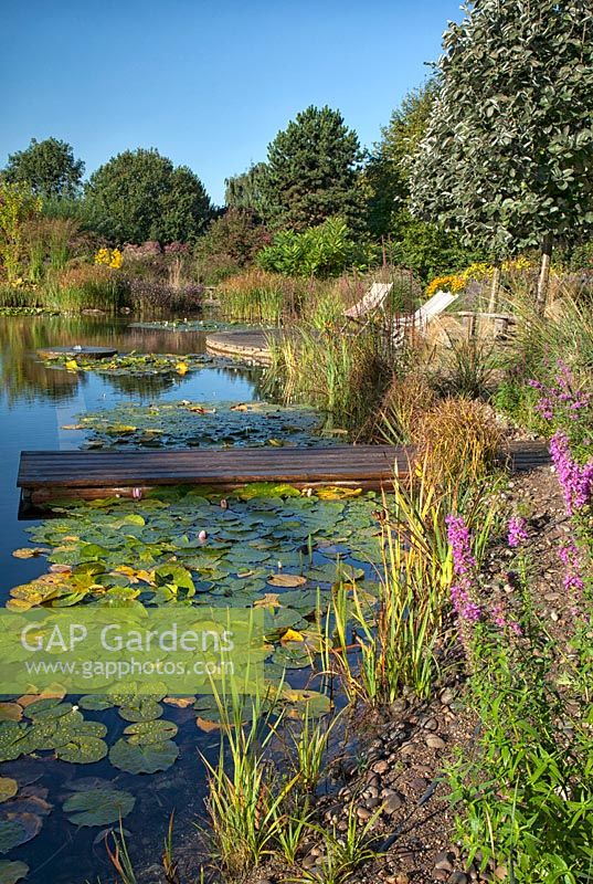 Piscine naturelle à Ellicar Gardens, Nottinghamshire