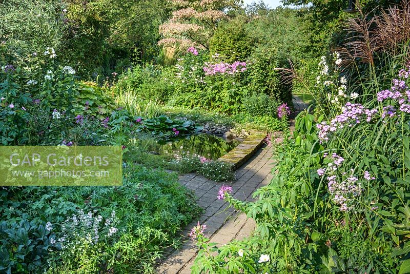 Sentier avec parterres de fleurs le long de l'étang et Cornus controversa 'Variegata'