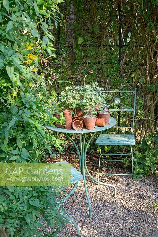 Géraniums dans des pots en argile sur table et chaises de bistrot, St Stephens Avenue, St Albans, Hertfordshire, Royaume-Uni.