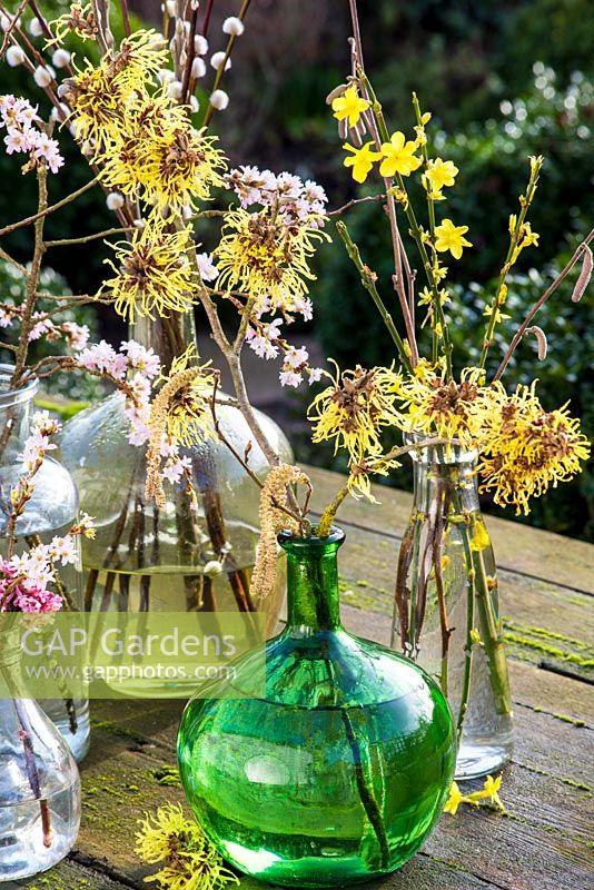 Sélection d'arbustes à fleurs d'hiver présentés dans des bouteilles en verre.