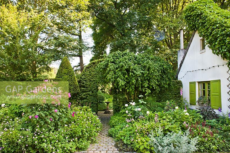 Maison et parterres de fleurs avec un chemin menant à travers l'arche vers le jardin. Rosa 'William Lobb', géranium, boîte topiaire et Astilbe