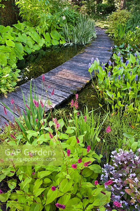 Chemin en terrasse menant à travers l'étang et la plantation marginale, jardin Laura Dingemans, Pays-Bas.