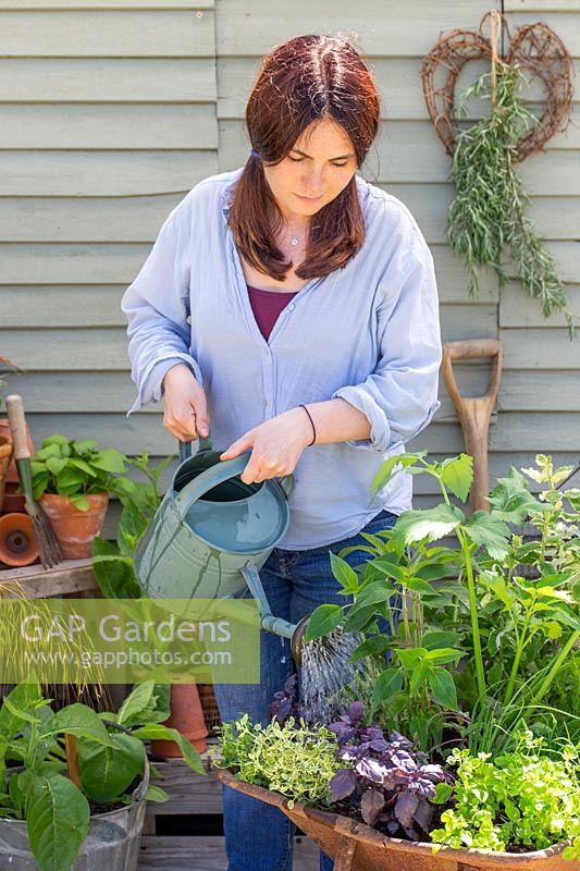 Arrosoir femme planteur d'herbe brouette avec arrosoir en métal.