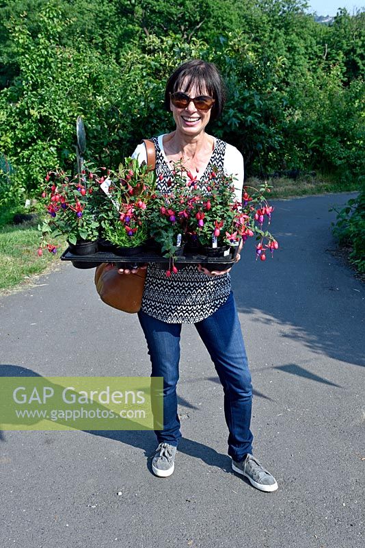 femme portant un plateau de plantes Fuchsia mixtes en pots.