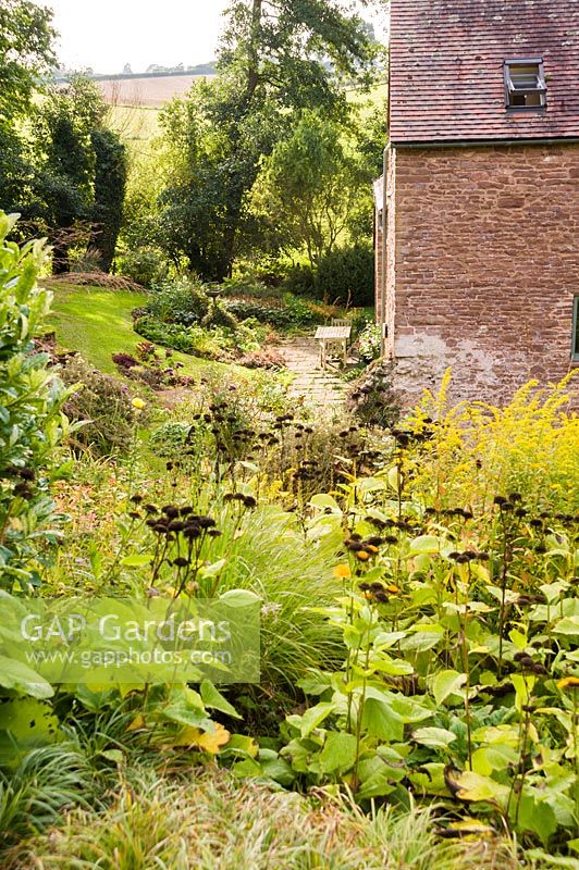 Banque en pente avec des herbes, des vivaces et des arbustes, Aston Crews, Herefordshire, Royaume-Uni.