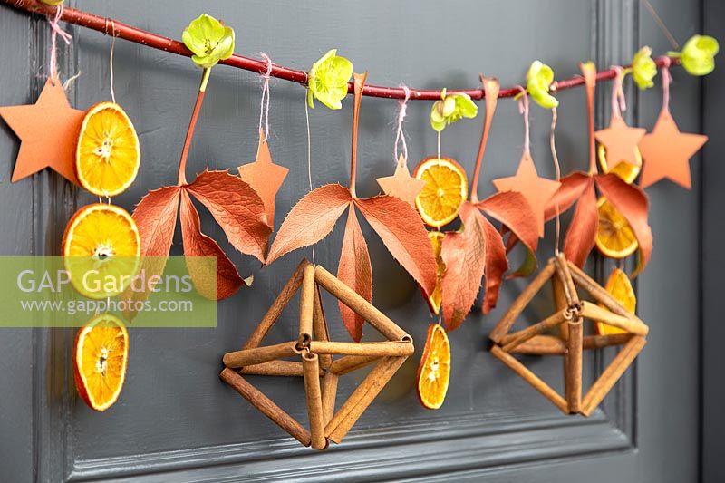 Branche de l'Avent festive d'orange séchée, de feuilles et de fleurs d'hellébore, d'étoiles et de bâtons de cannelle