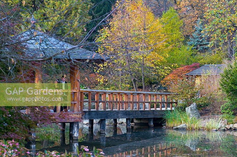 Étang et pont en bois dans le jardin japonais, Wroclaw, Pologne