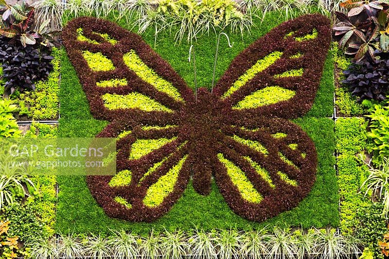 Alternanthera, sculpture de papillon monarque, Québec, Canada