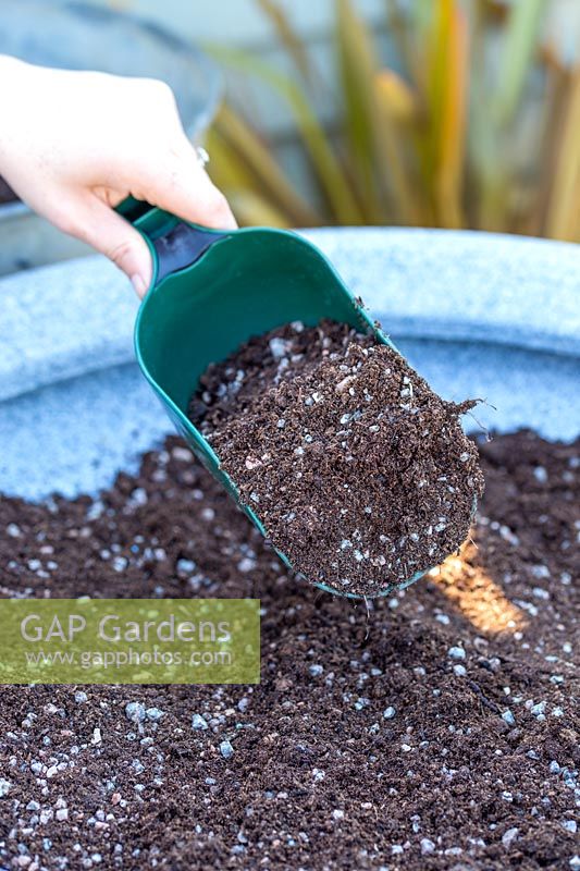 Ajouter le mélange de grains et de compost dans un bol peu profond avec une cuillère en plastique verte