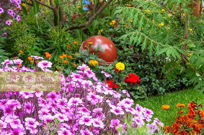 Parterre de fleurs avec Geranium maderense et vue de balle de cricket dans le British Council Garden - Inde: un milliard de rêves. Commanditaire: British Council, RHS Chelsea Flower Show, 2018.