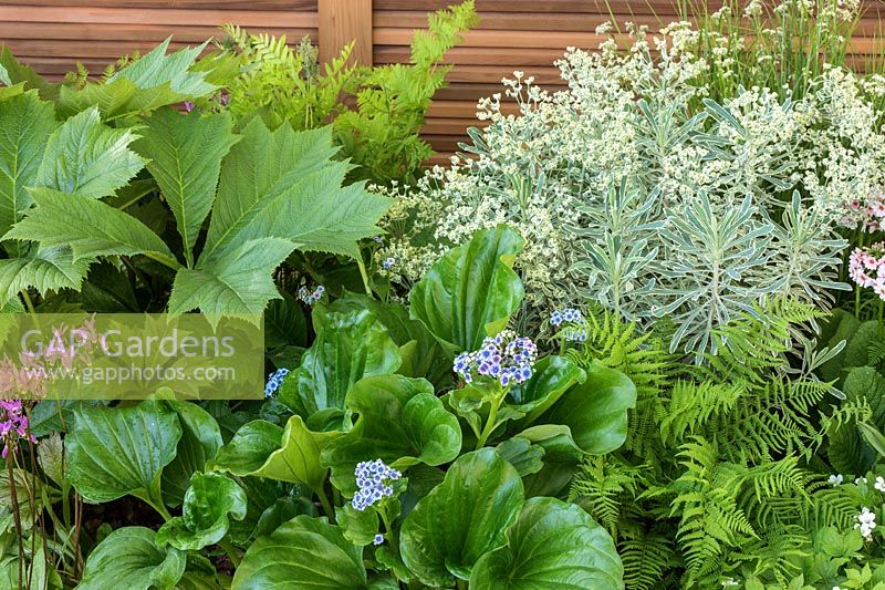 Le jardin Morgan Stanley pour le NSPCC - Sponsor: Morgan Stanley - RHS Chelsea Flower Show 2018
