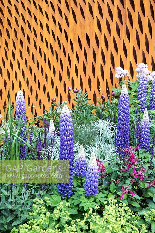 Plantation mixte contre un écran en acier rouillé - Le jardin David Harber et Savills, parrain: David Harber et Savills. RHS Chelsea Flower Show, 2018.
