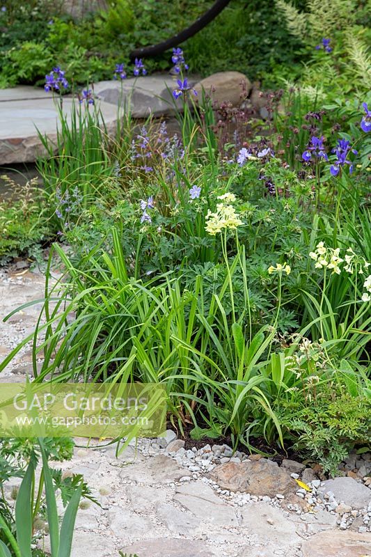 The Wedgwood Garden - Chemin de pierre informel avec plantation mixte, y compris Iris, Géranium - Sponsor: Wedgwood - RHS Chelsea Flower Show 2018