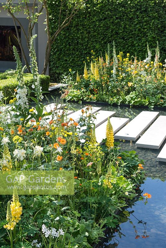 Tremplins sur la piscine avec Lupinus. The LG Eco-City Garden, RHS Chelsea Flower Show, 2018. Sponsor: LG Electronics