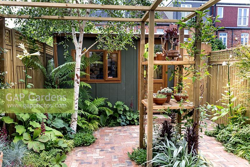 Petit jardin patio de Londres avec pergola centrale et bureau de jardin en arrière-plan.
