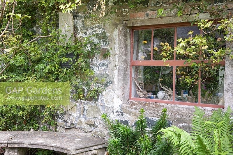 Siège en pierre avec des plantes grimpantes autour de la fenêtre de Bothy - Dyffryn Fernant, UK
