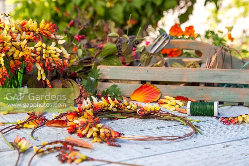 Outils et matériaux pour réaliser la couronne de fleurs Mina lobata.