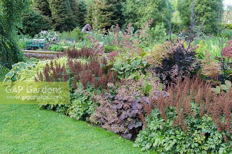 Parterre de fleurs planté de plantes qui aiment l'humidité dans les jardins Wells, y compris les hostas, astilbes, heucheras et rodgersias