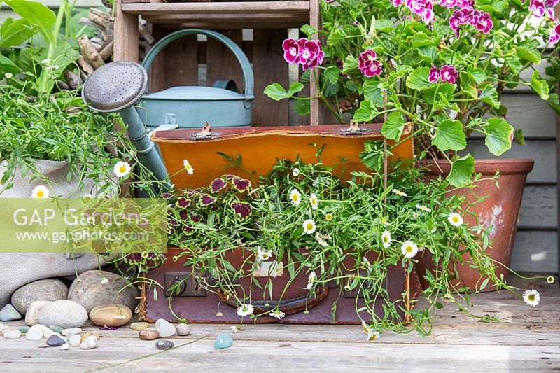 Arrangement extérieur avec valise et bottes plantées de fleurs mélangées et de plantes à feuillage