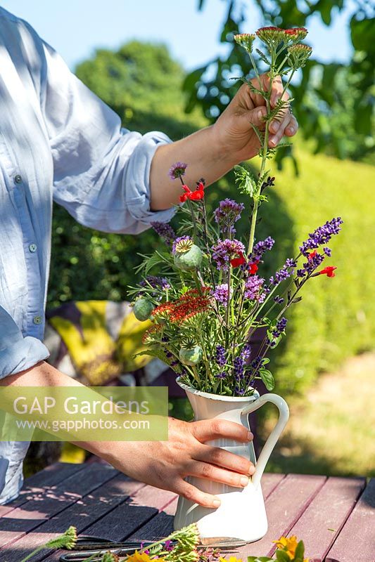 Femme créant un arrangement floral informel dans une cruche avec des fleurs de jardin telles que la lavande, la sauge, l'achillea, la verveine bonariensis etc.