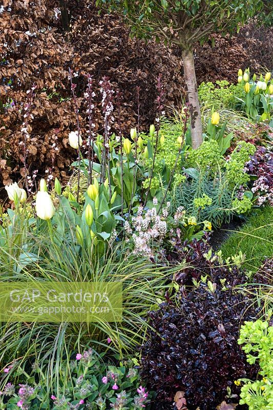 Parterre de printemps mélangé dans le jardin d'exposition - Jardin 'The Yardley Flower', Ascot Spring Garden Show, 2018.