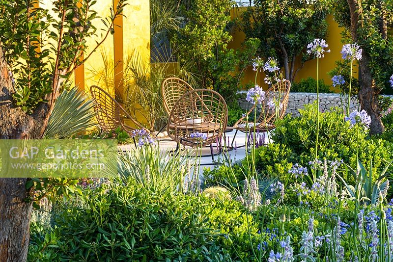 Chaises sur terrasse en pierre avec Yucca rostrata, Arbutus unedo et Pittosporum tobira 'Nanum ''. Living La Vida 120 '. RHS Hampton Flower Show 2018