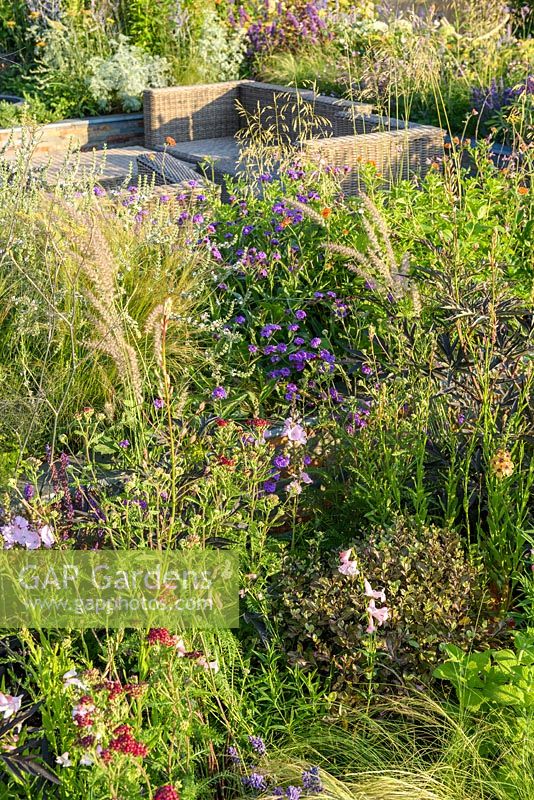 Canapés à plantation pérenne. 'RNIB Community Garden', RHS Hampton Flower Show 2018