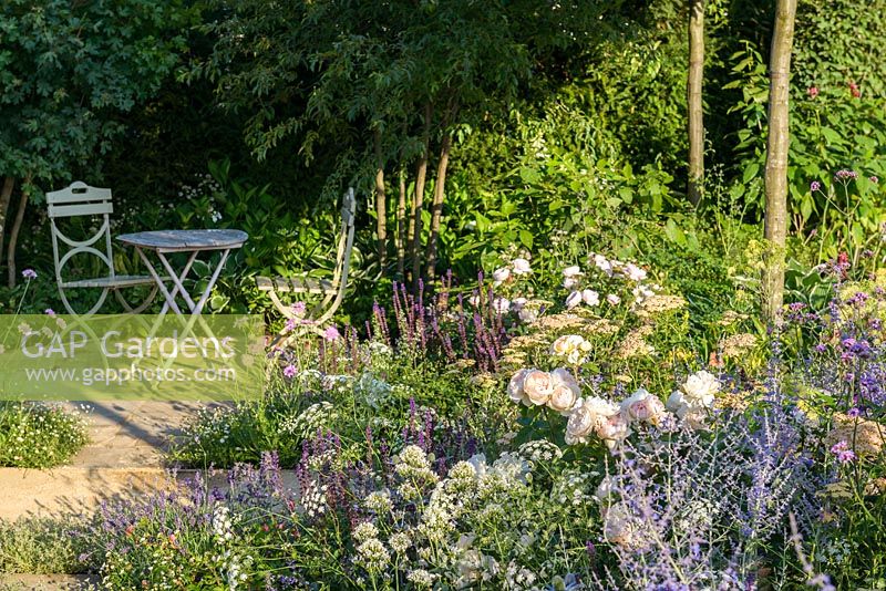 Rosa 'Wildeve', Centranthus et Salvia avec table et chaises. 'Le meilleur des deux mondes', RHS Hampton Flower Show 2018