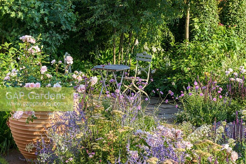 Rosa 'Wildeve', Salvia et Achillea avec table et chaises. 'Le meilleur des deux mondes', RHS Hampton Flower Show 2018
