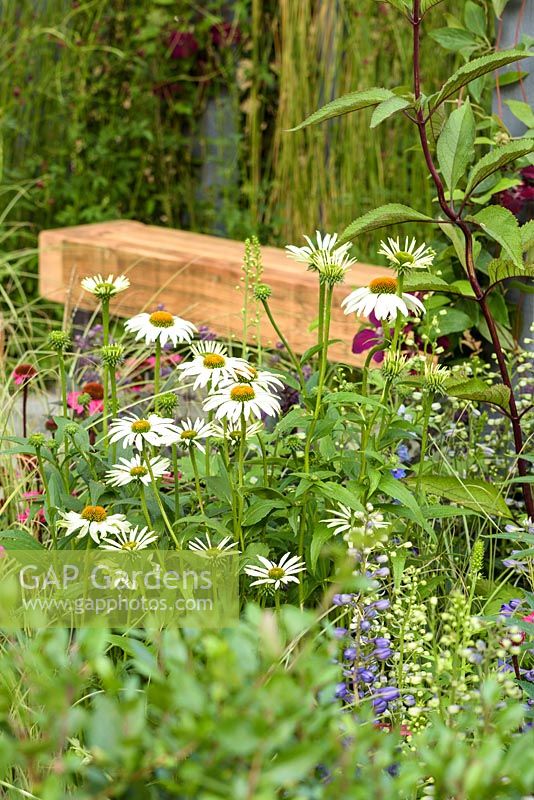 Banc en bois entouré de vivaces - Secured by Design, parrainé par Secured By Design, Capel Manor College, Smartwater, RHS Hampton Court Flower Show, 2018.