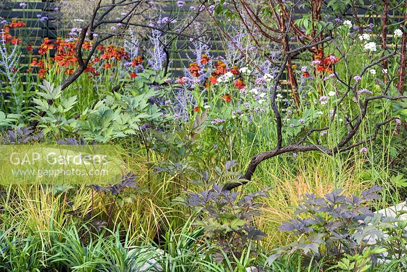 Elements Mystique Garden, parrainé par Elements Garden Design, RHS Hampton Court Flower Show, 2018.