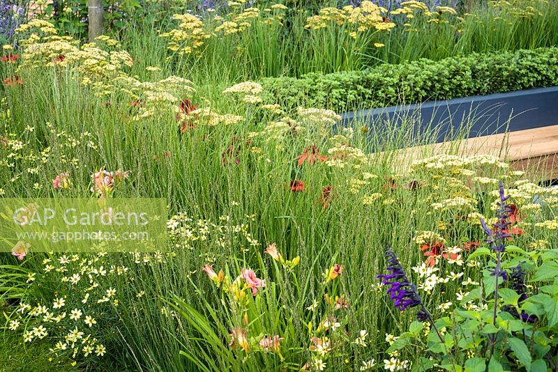 Plantation mixte dans un jardin d'exposition - Le meilleur des deux mondes, parrainé par BALI, RHS Hampton Flower Show, 2018.