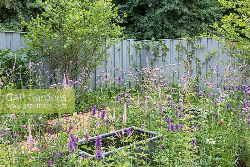 Auges en acier situées au milieu d'une plantation mixte avec en toile de fond une clôture peinte en bleu - Southend Young Offenders 'A Place to Think', RHS Hampton Court Palace Flower 2018