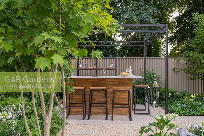 Bar extérieur avec pergola, Acer cappadocicum en premier plan - The Landform Garden Bar, RHS Hampton Court Palace Flower Show 2018