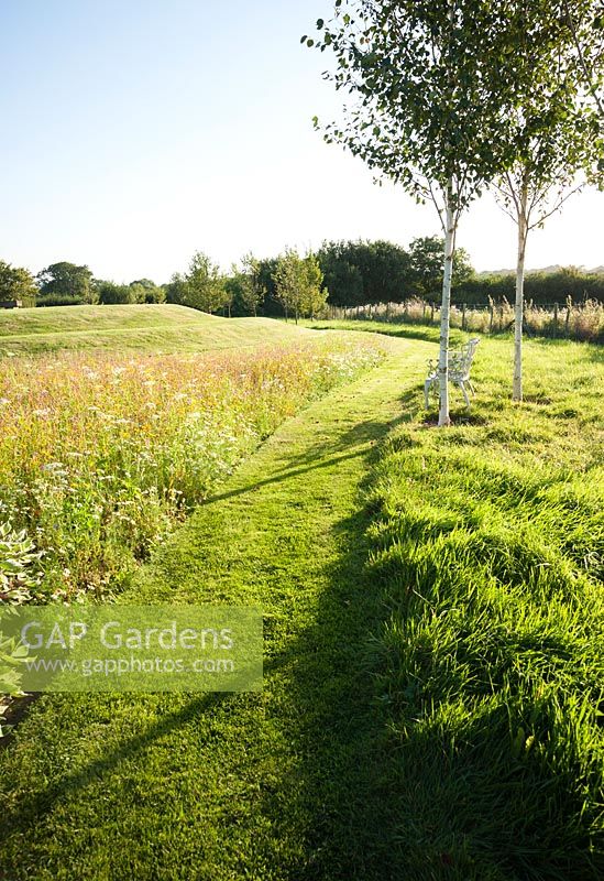 Parterre de fleurs de prairie annuelles. L'Oast House, Isfield, Sussex, UK