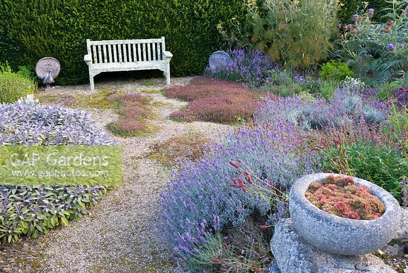 Jardin d'herbes en contrebas avec thymes, sauge, lavande et fenouil. Cidrerie, Buckland Abbey, Yelverton, Devon, UK