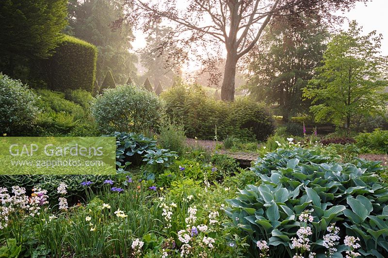 Jardin marécageux plein d'hostas, de primevères, d'iris et de saules à l'ancien presbytère, Netherbury, Royaume-Uni.