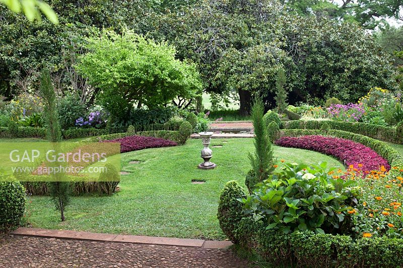 Chemins et parterres courbes bordés d'Iresine herbstii 'Brilliantissima '. Jardin de Palheiro, Funchal, Madère