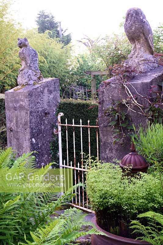 Poteaux en forme de hibou et de chat entouré de fougères luxuriantes et de clématites grimpantes à la Barn House, Glos en mai