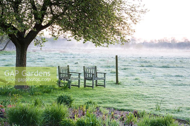 Brume s'élevant à l'aube avec des chaises sous l'arbre à côté de la clôture, Stockbridge, Hampshire