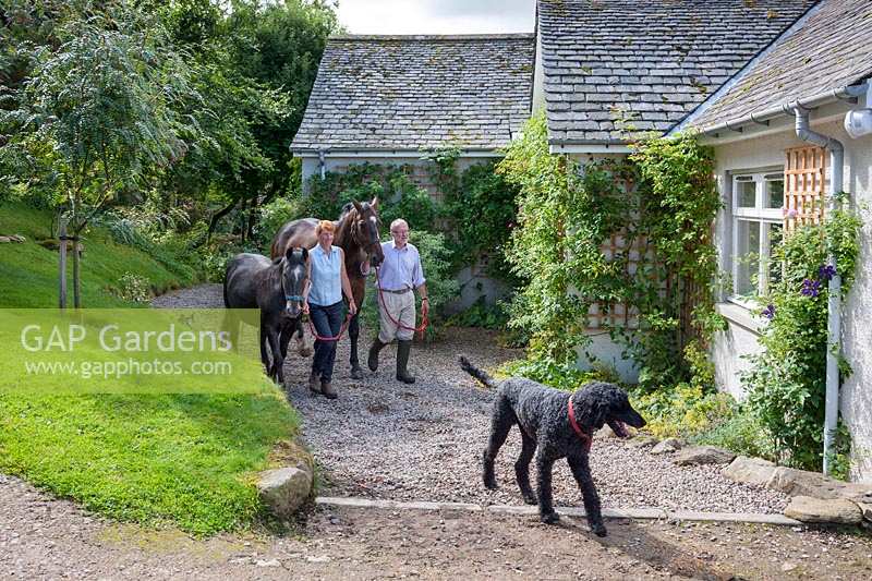 Ian et Clare Alexander et un caniche de compagnie conduisant leur cheval et leur poney au pâté de maisons devant la maison.