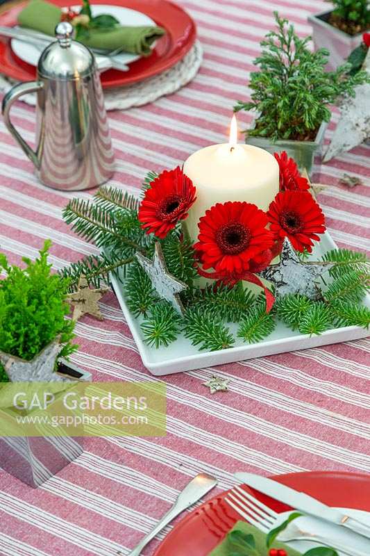 Décor de table festif rouge, blanc et vert, avec centre de table en pin bleu et bougie Gerbera.