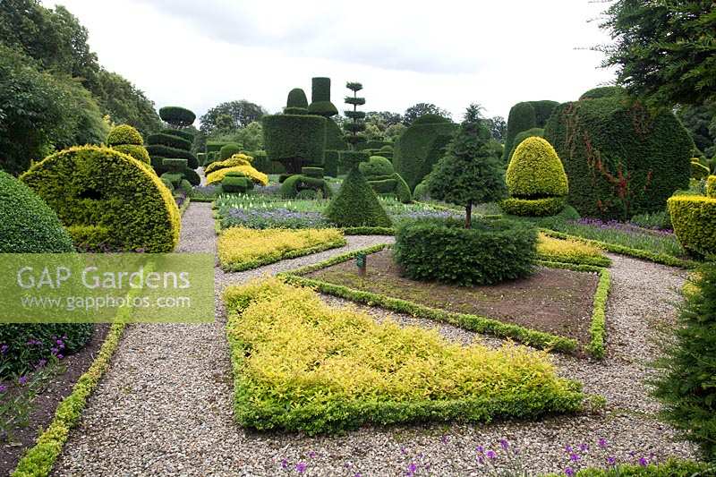 Parterres bordés de boîtes et formes topiaires inhabituelles, Levens Hall and Garden, Cumbria, Royaume-Uni