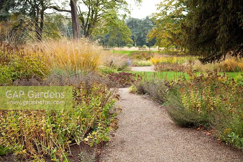 Un chemin de gravier mène à travers des parterres de graminées vivaces et de têtes de semences conçus par Piet Oudolf - Trentham Gardens, Staffordshire, Royaume-Uni.