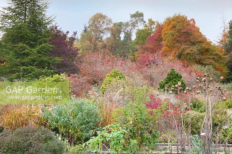 Couleurs d'automne dramatiques dans le jardin. Gravetye Manor, Sussex, Royaume-Uni.
