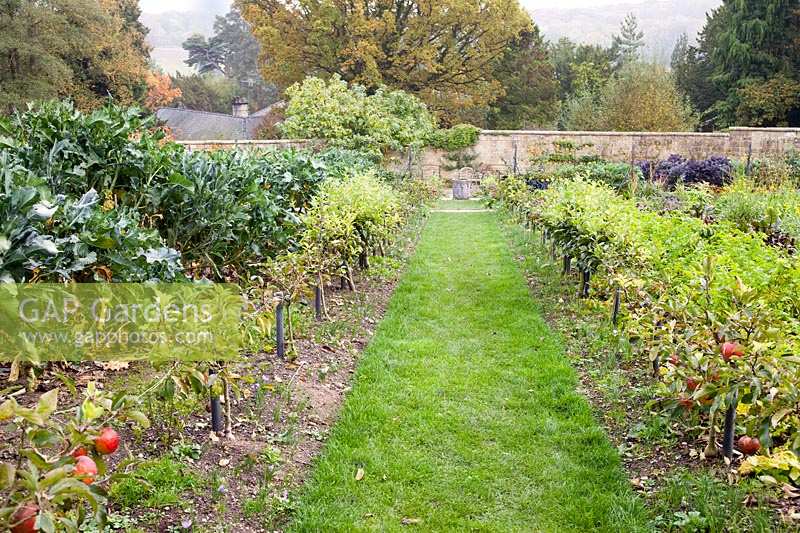 Sentier d'herbe à travers le jardin clos, avec des rangées de passages de pommes fructifères. Gravetye Manor, Sussex, Royaume-Uni.