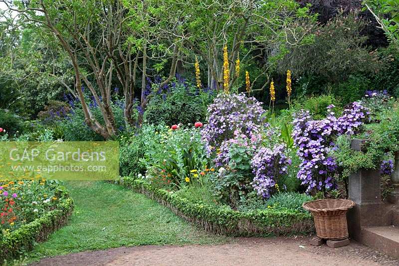 Parterre d'été dans le jardin de Palheiro, le jardin de Blandy, Maderia