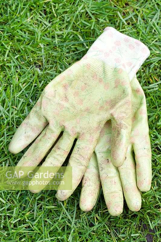 Une paire de vieux gants de jardinage usés.